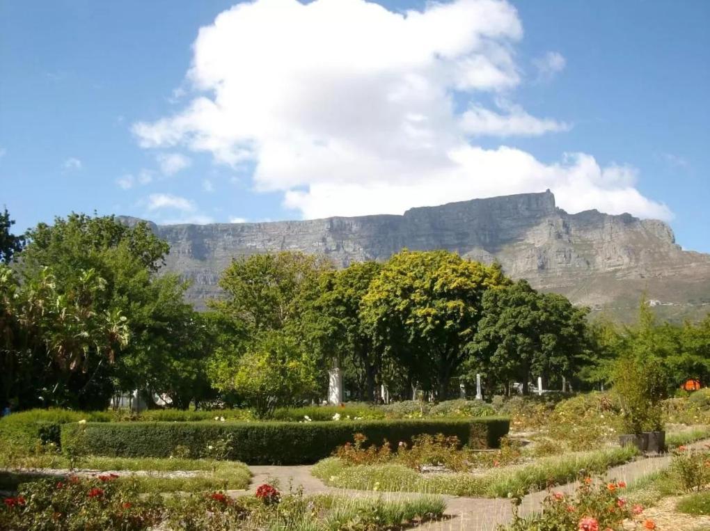 Taj Hotel Cape Town - Luxury 5 Star Suites - Very Spacious With Kitchenette, Lions Head Views Bagian luar foto